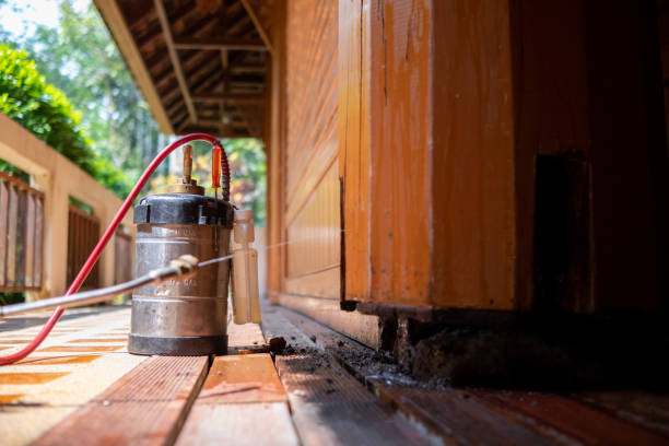 Best Pest Prevention Services  in Ames, IA