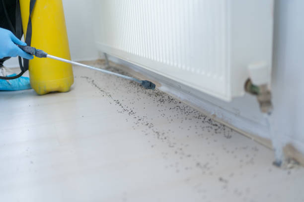 Best Wildlife Control Services  in Ames, IA